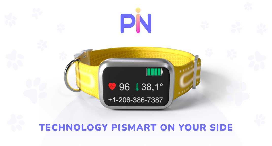 PIN